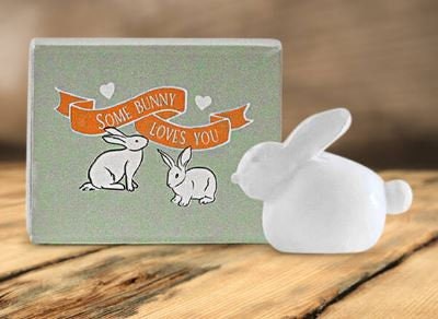 Some Bunny Loves You Matchbox Gift